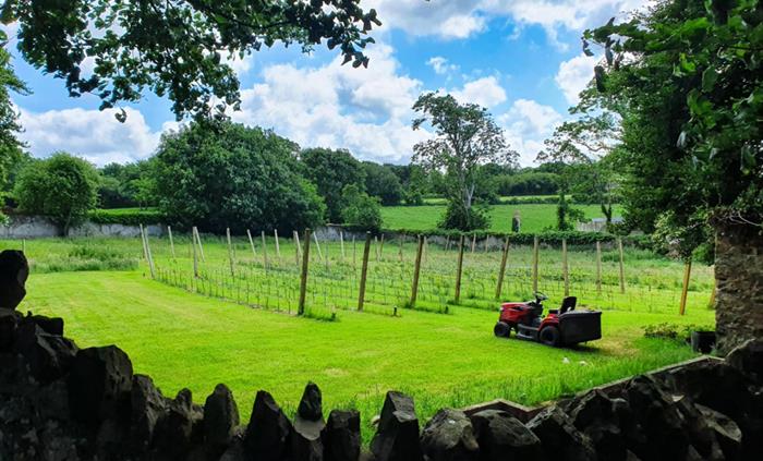 The Gunroom Restaurant was awarded Best Place to Eat in Wales 2025 at the Visit Wales awards